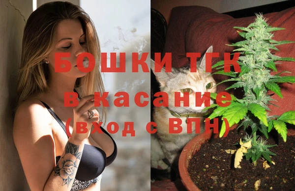 PSILOCYBIN Балабаново